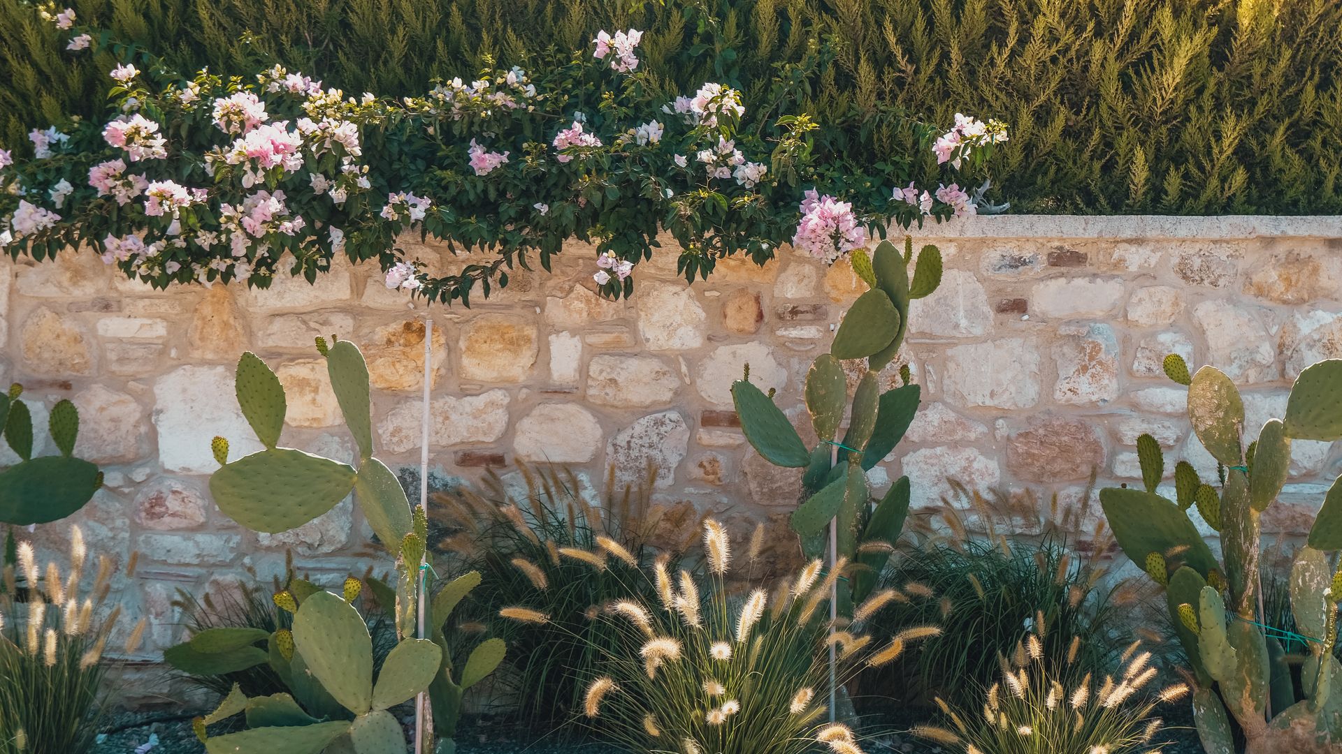 What Garden Landscaping Costs in Cyprus in 2026 — illustrasjonsbilde