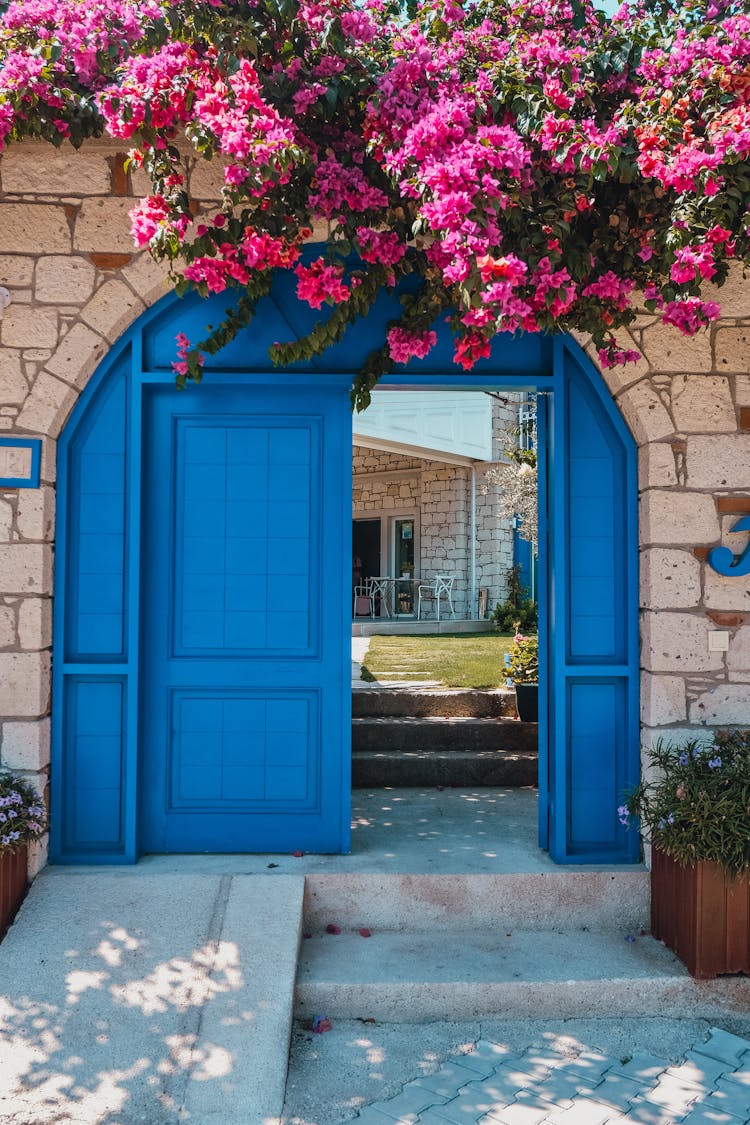 Blue Opened Gate To Yard