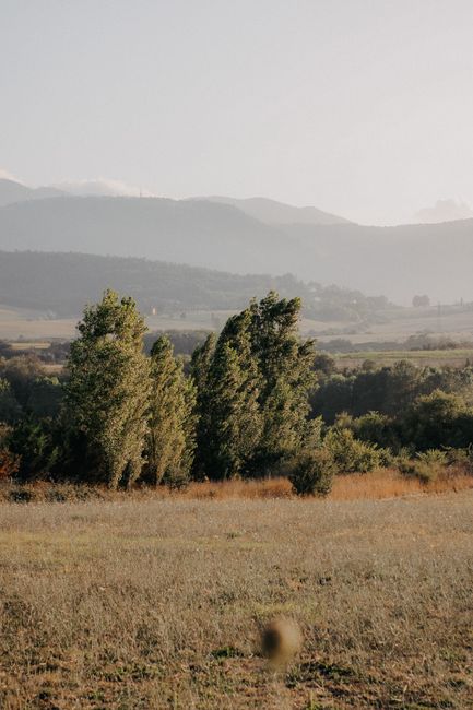 Tranquil landscape with grass, trees, and distant mountains under clear sky.