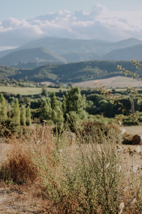 Free Beautiful rural landscape with mountains and valleys under a summer sky. Stock Photo
