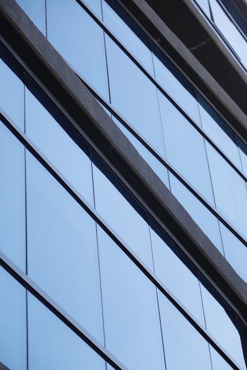 Windows of Office Building