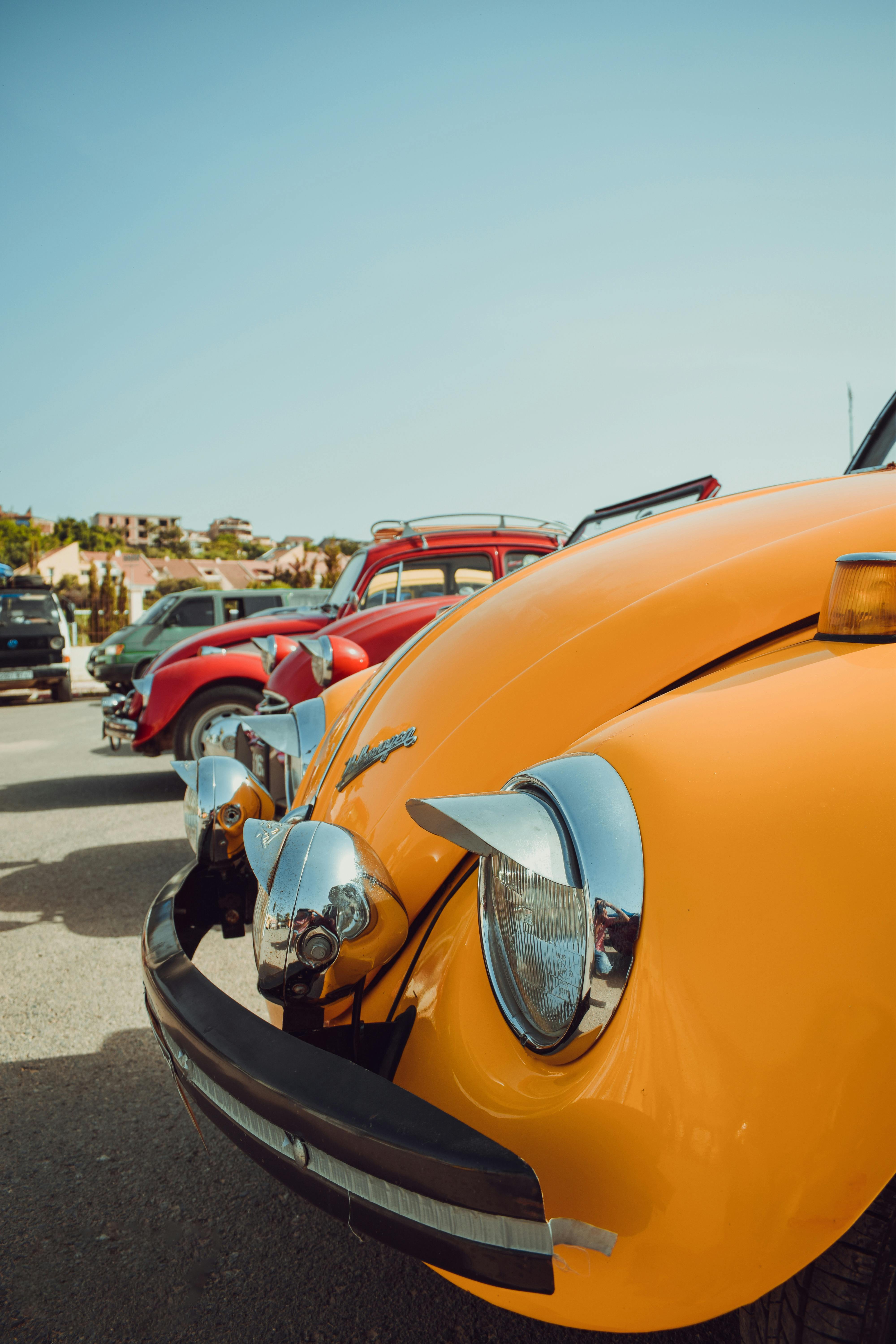 Classic Volkswagen Beetles · Free Stock Photo