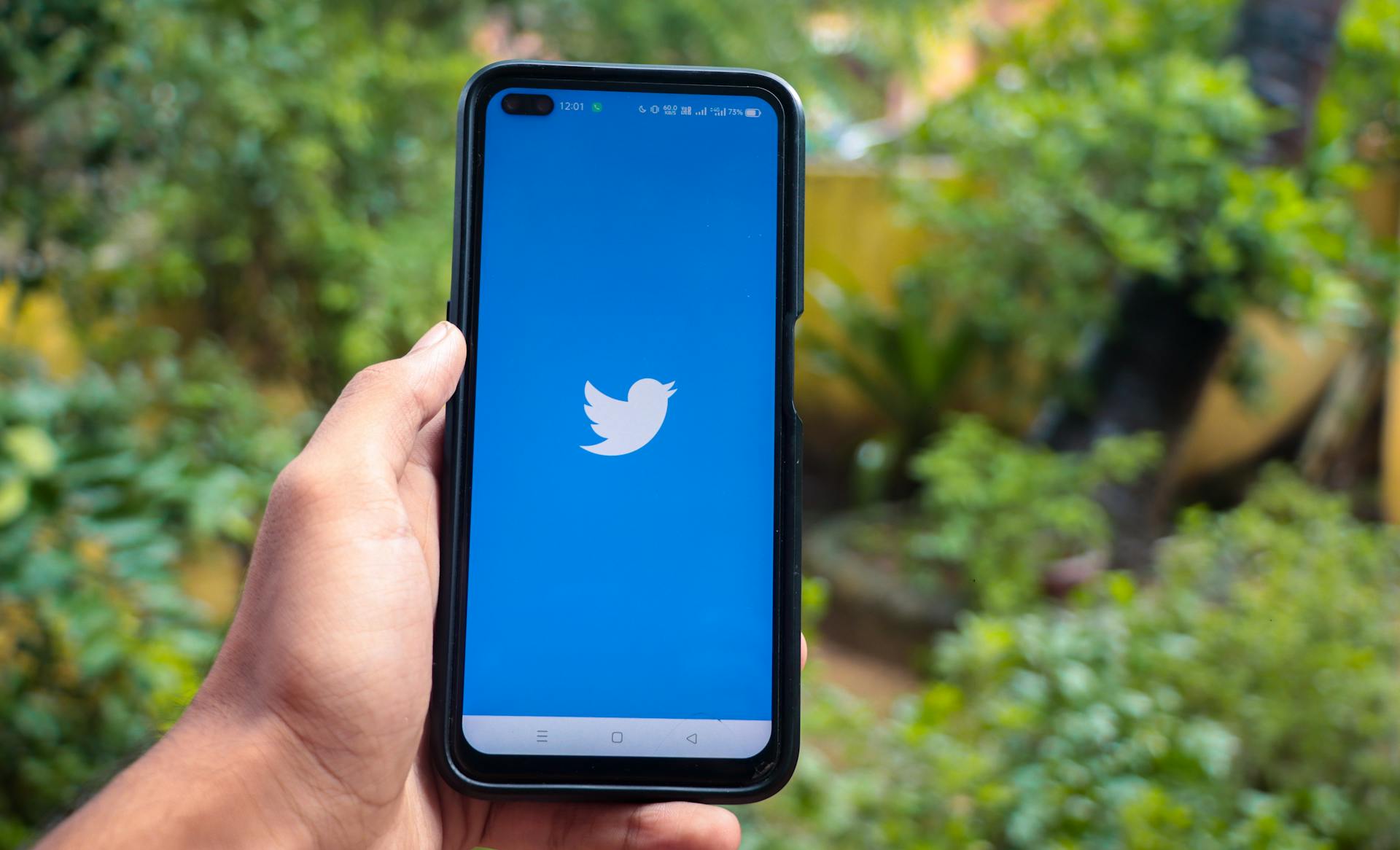 Hand holding a smartphone with Twitter icon on screen. IPhone with a social media app logo.