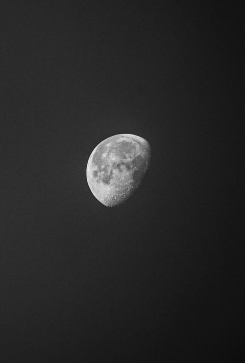 Free High contrast black and white photo capturing the gibbous moon against a dark sky. Stock Photo