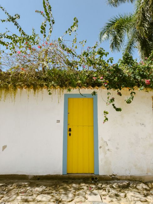 Vibrant yellow door on a white wall with lush plants cascading from the roof.