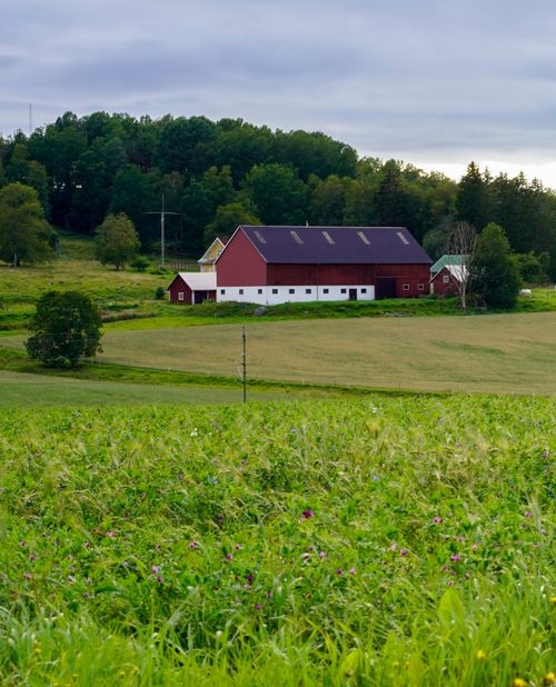 Free Charming red barn nestled in a verdant countryside landscape on a cloudy day. Stock Photo