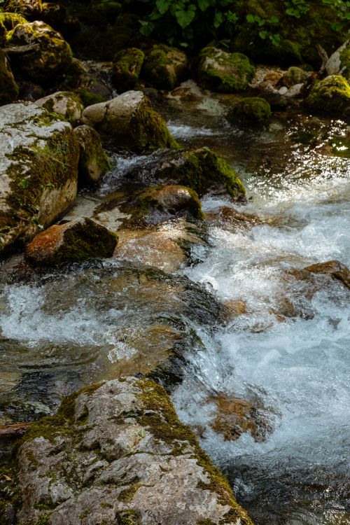 Free A peaceful stream flows over moss-covered rocks in a lush forest setting. Stock Photo