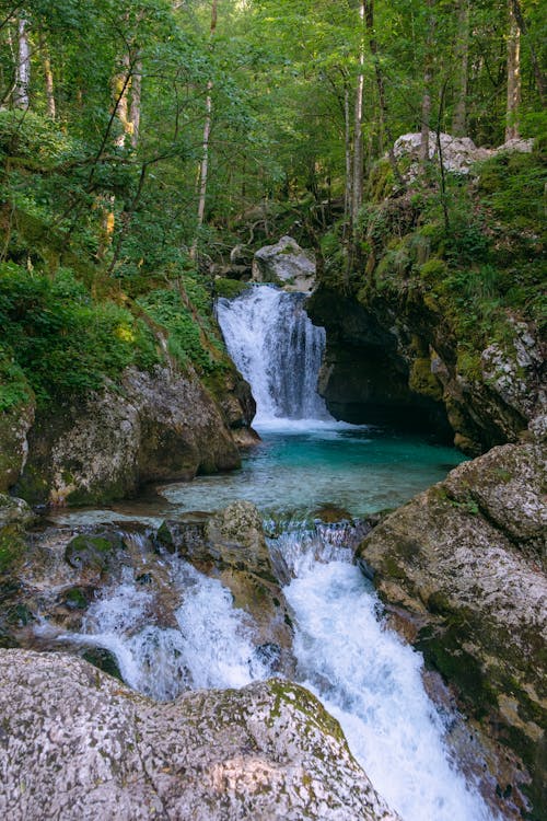 Immagine gratuita di acqua corrente, alberi, cascata