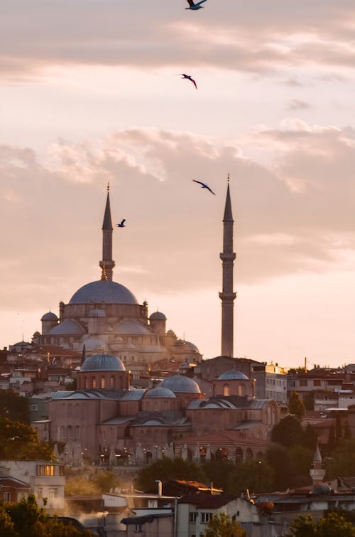 Hagia Sophia over Buildings in Istanbul