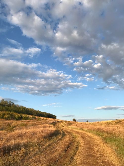 Free Serene dirt road amidst golden fields and blue skies in rural Bulgaria. Stock Photo