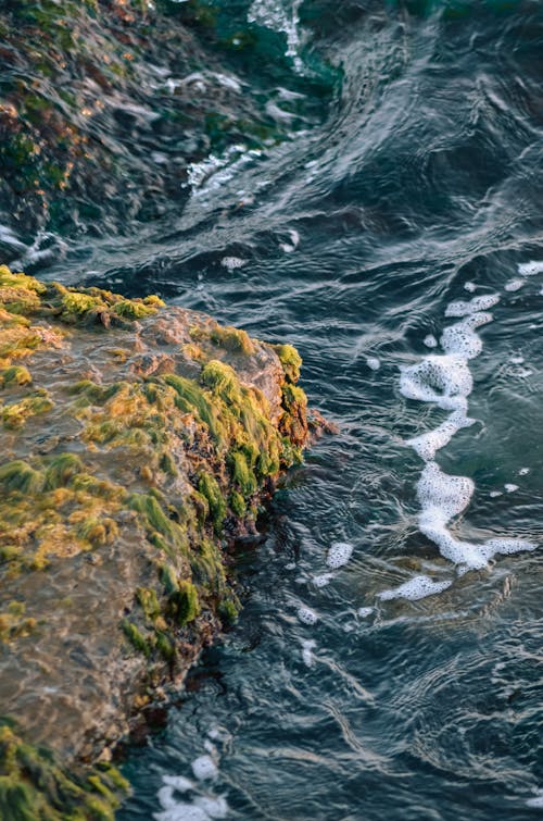 Foamy Waves Splashing on Algae Covered Seashore Stone