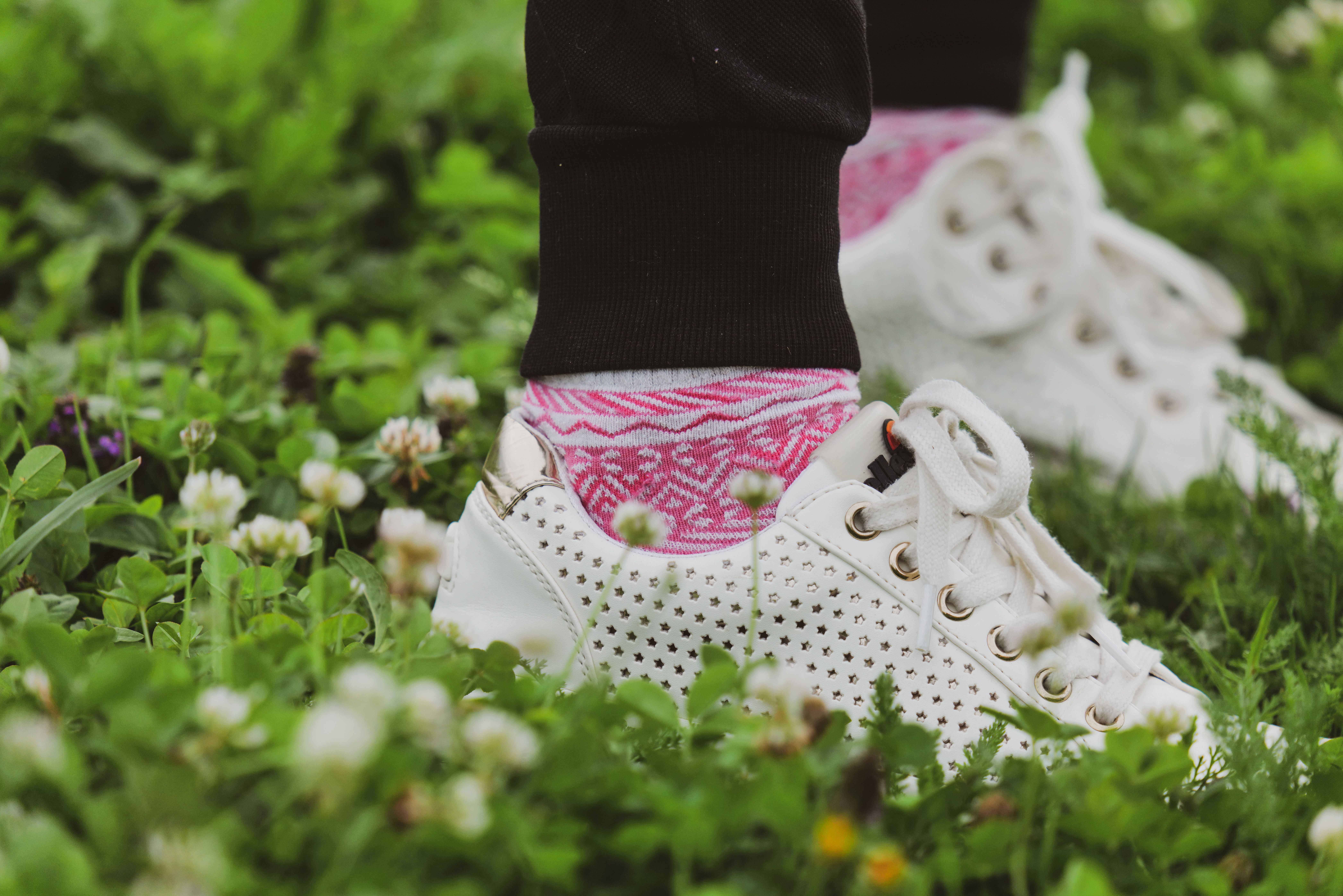 Close-up of white sneakers with pink socks amidst lush green grass and flowers.