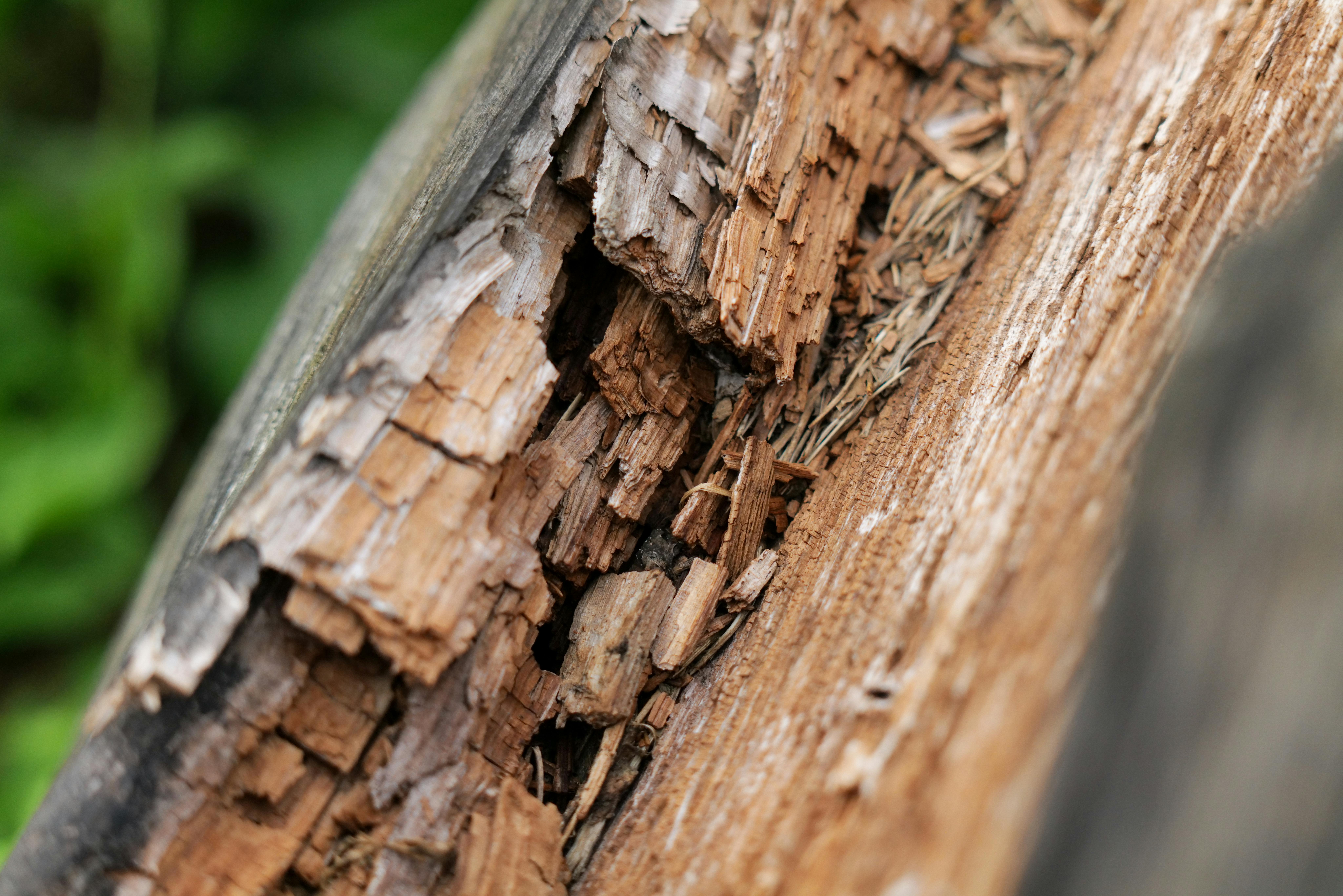 Splintered wood decking and rotted joists on a Lake Lanier dock - Dock Repair on Lake Lanier