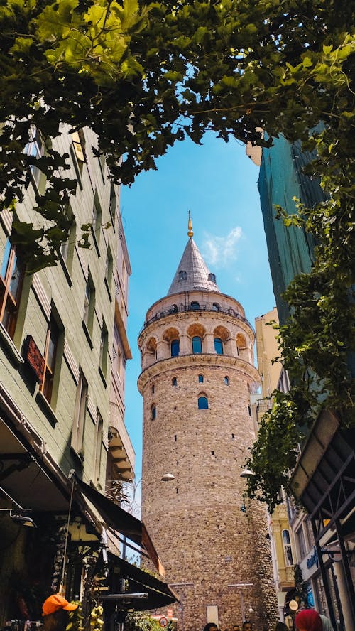 Základová fotografie zdarma na téma galatská věž, Istanbul, krocan