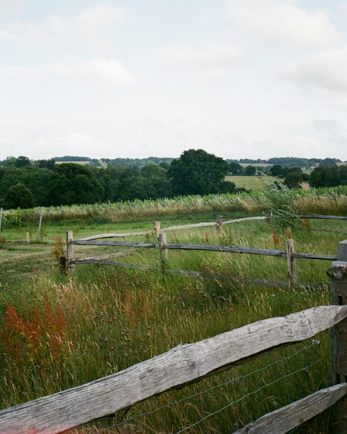 Wooden Fence in Field