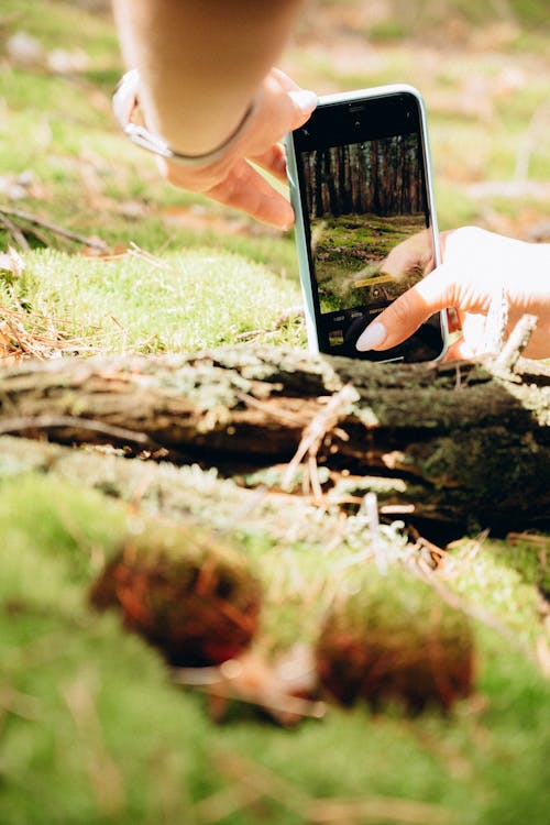 Woman Hands Taking Pictures over Ground in Forest