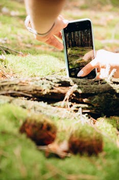 A person using a smartphone to capture a forest scene with vibrant moss and sunlight.