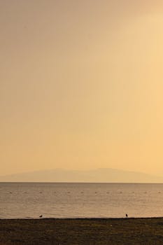 Peaceful sunrise over calm ocean waters with birds, creating a serene and hazy atmosphere.