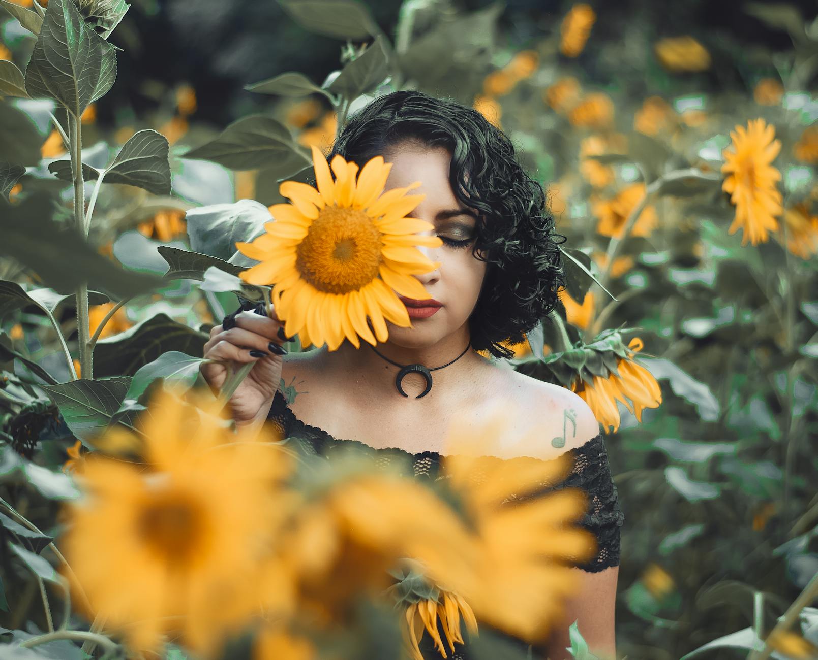 Yellow and Black Petaled Flower