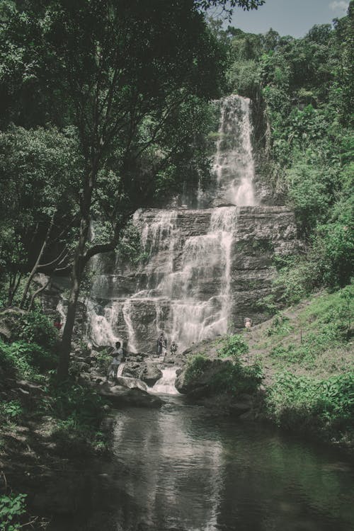 Foto profissional grátis de cachoeiras, chickmanglur, filtros