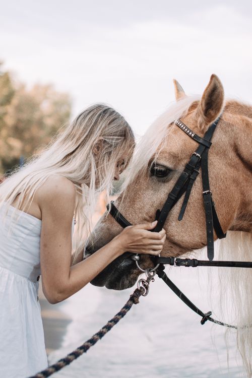 Free A young woman in a serene moment with a horse by the waterfront. Stock Photo