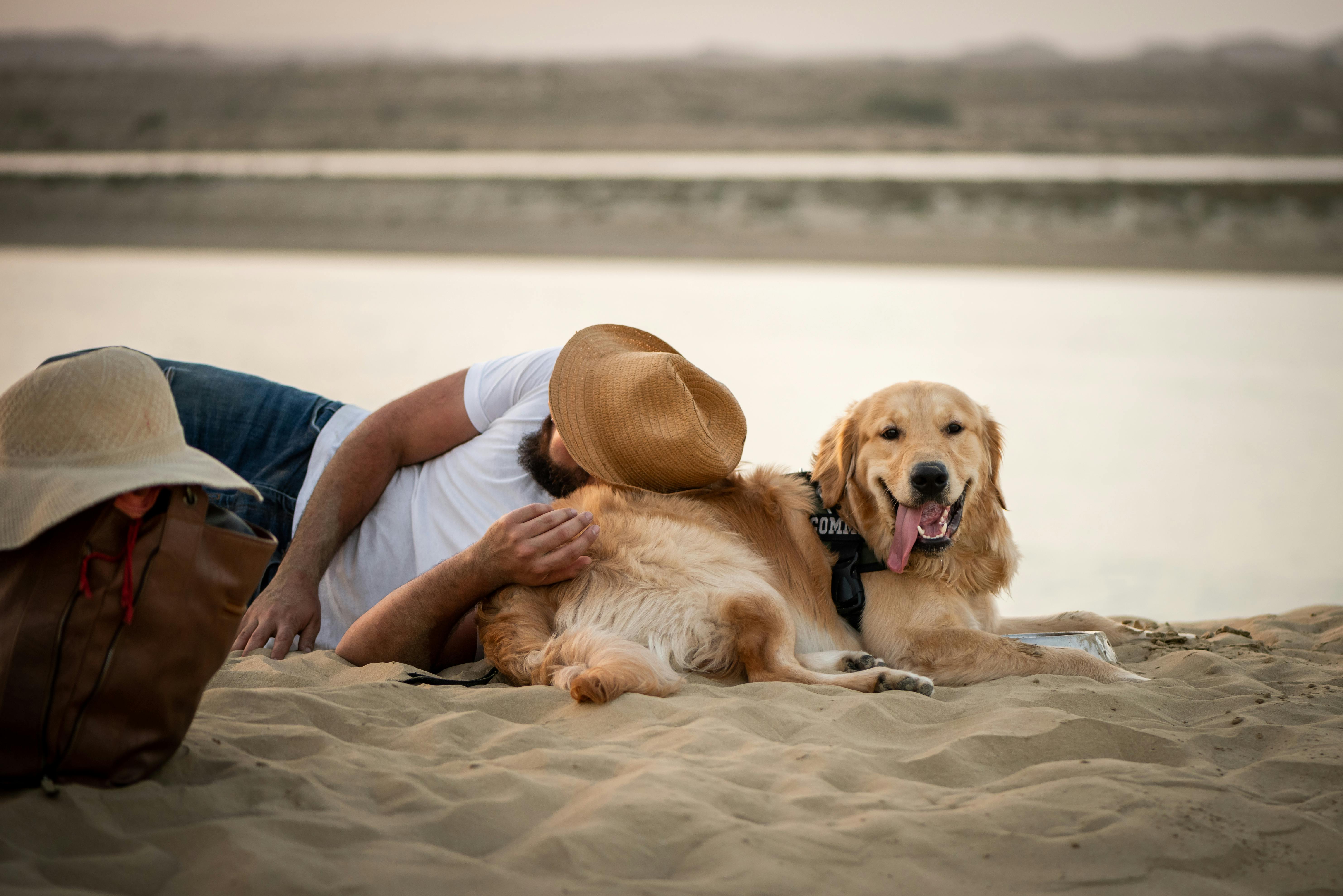 pet lifestyle bhopal — Photo by Shahab Hossein on Pexels