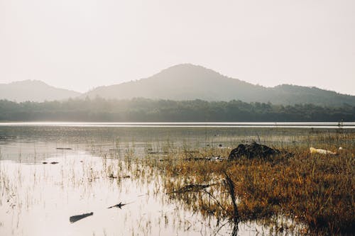 Darmowe zdjęcie z galerii z jezioro, natura, sceneria
