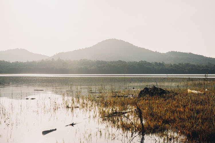 Dau Tieng Lake