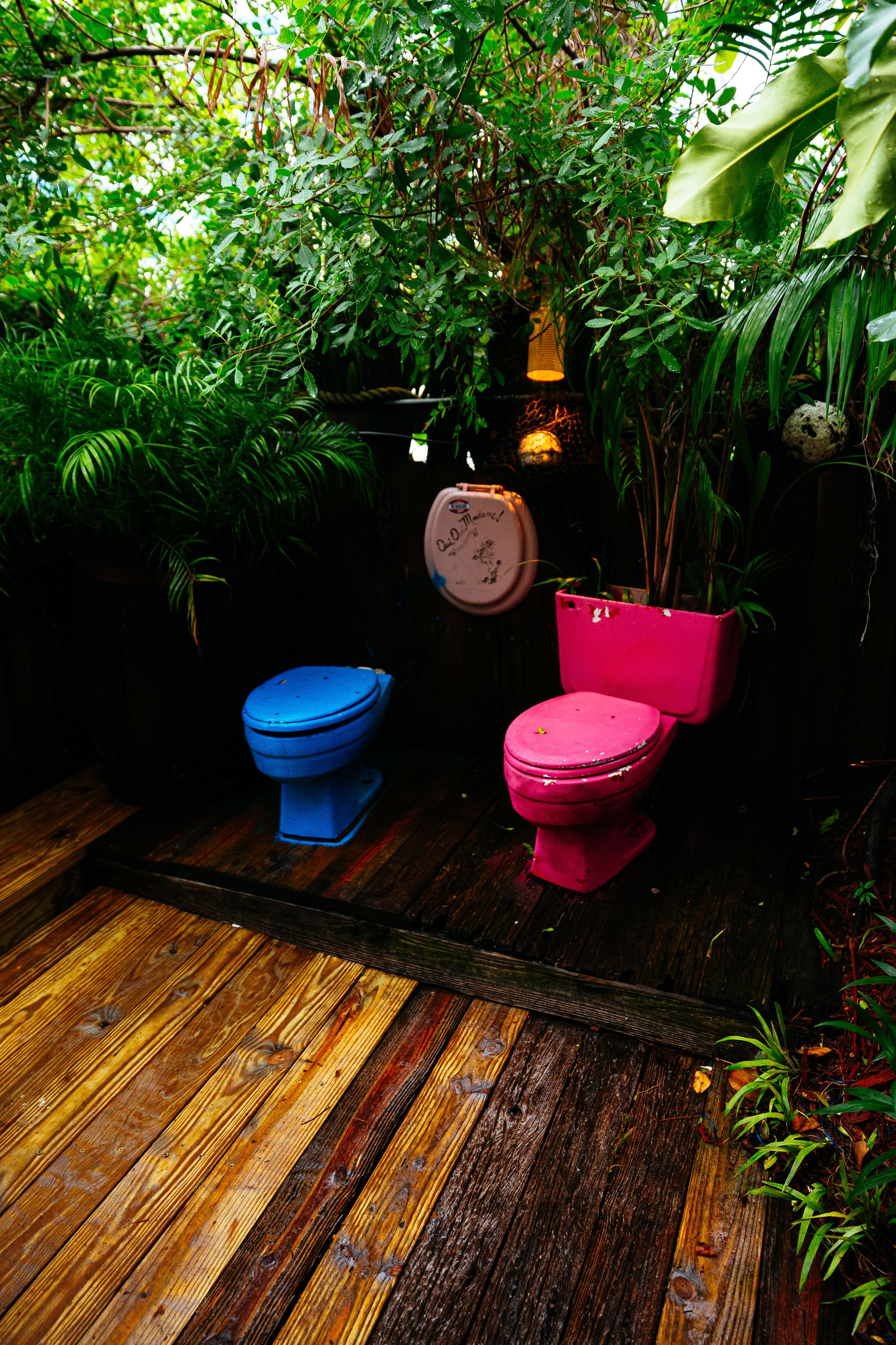 Pink Toilet Photos, Download The BEST Free Pink Toilet Stock Photos & HD Images