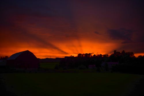 Gratis arkivbilde med gyllen solnedgang, rød solnedgang, solnedgang