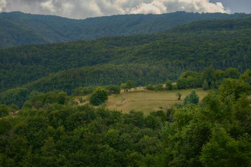 Free Panoramic view of lush green mountain forest and serene meadow under cloudy sky. Stock Photo