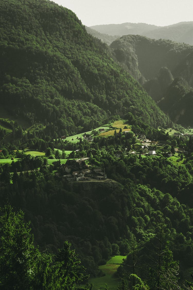 Scenic Mountain Panorama With A Village In A Forest