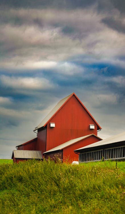 Gratis stockfoto met boerderij, decor, dorp