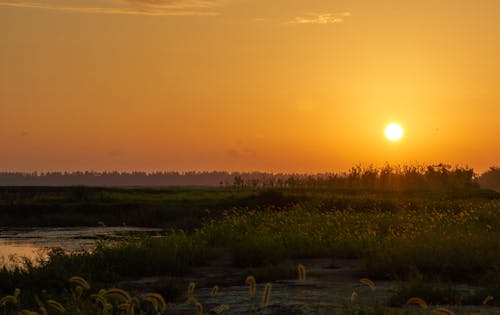 Kostnadsfri bild av natur, Sol, solnedgång