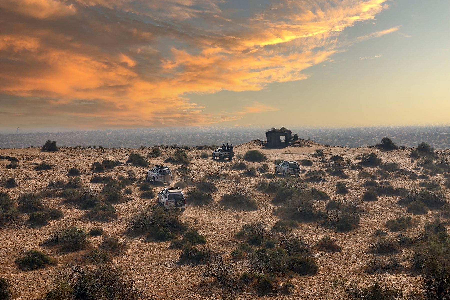 Four SUVs traversing the sandy desert landscape of Ghotki, Pakistan as the sun sets.