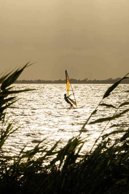 Kite Surfer on Seashore