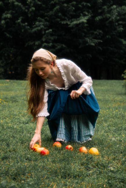 Young woman in traditional clothing picking apples on a summer day in a rural orchard.