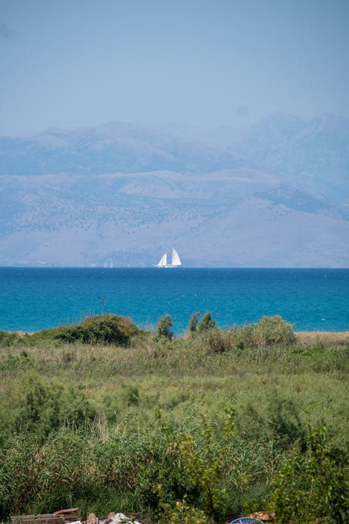 A Sailboat on the Sea 