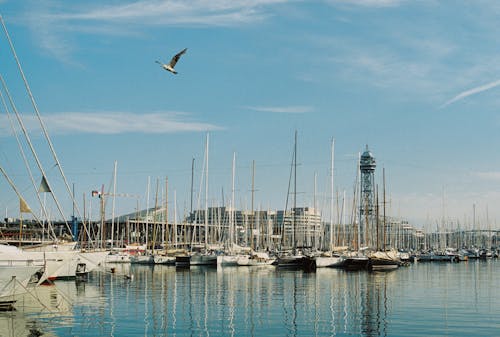 Sailboats in Harbor of Barcelona