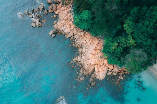 Foto d'estoc gratuïta de aigua turquesa, arbres, Costa