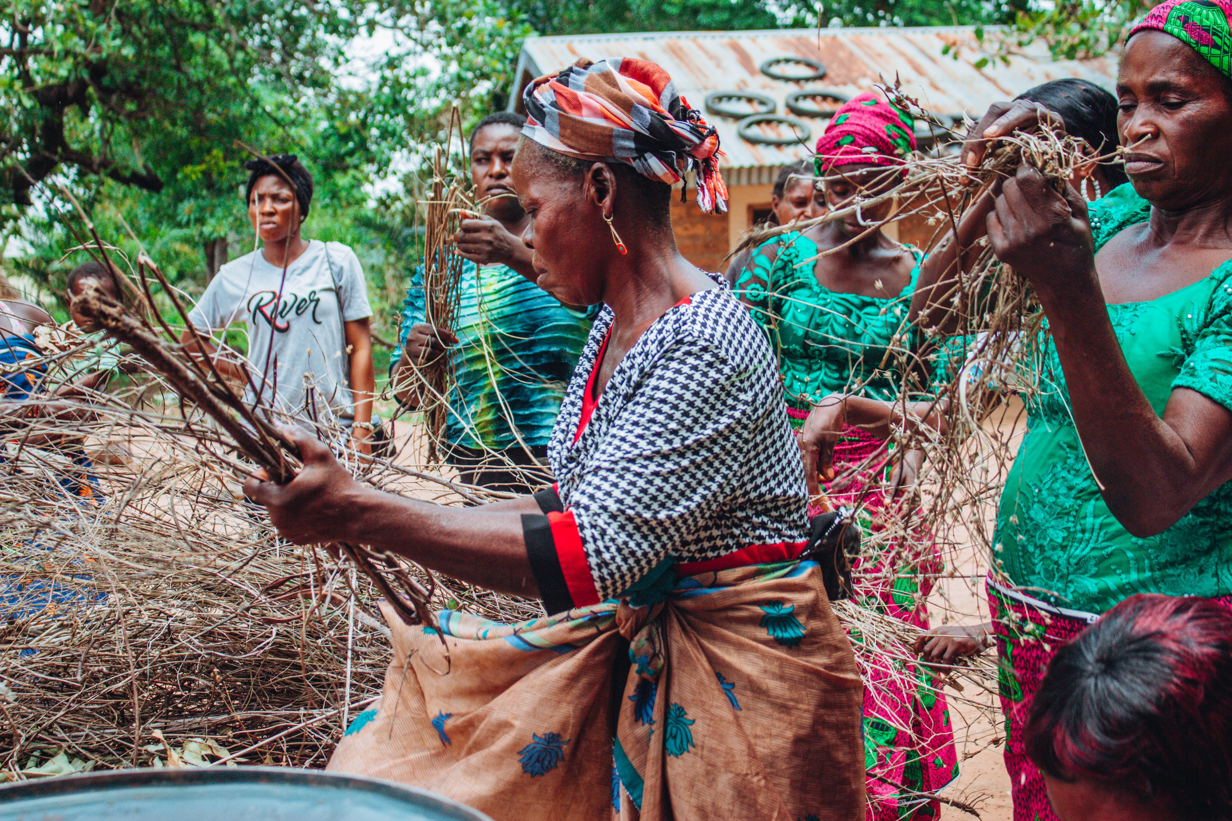 Women Holding Wood in Hands during Ritual · Free Stock Photo