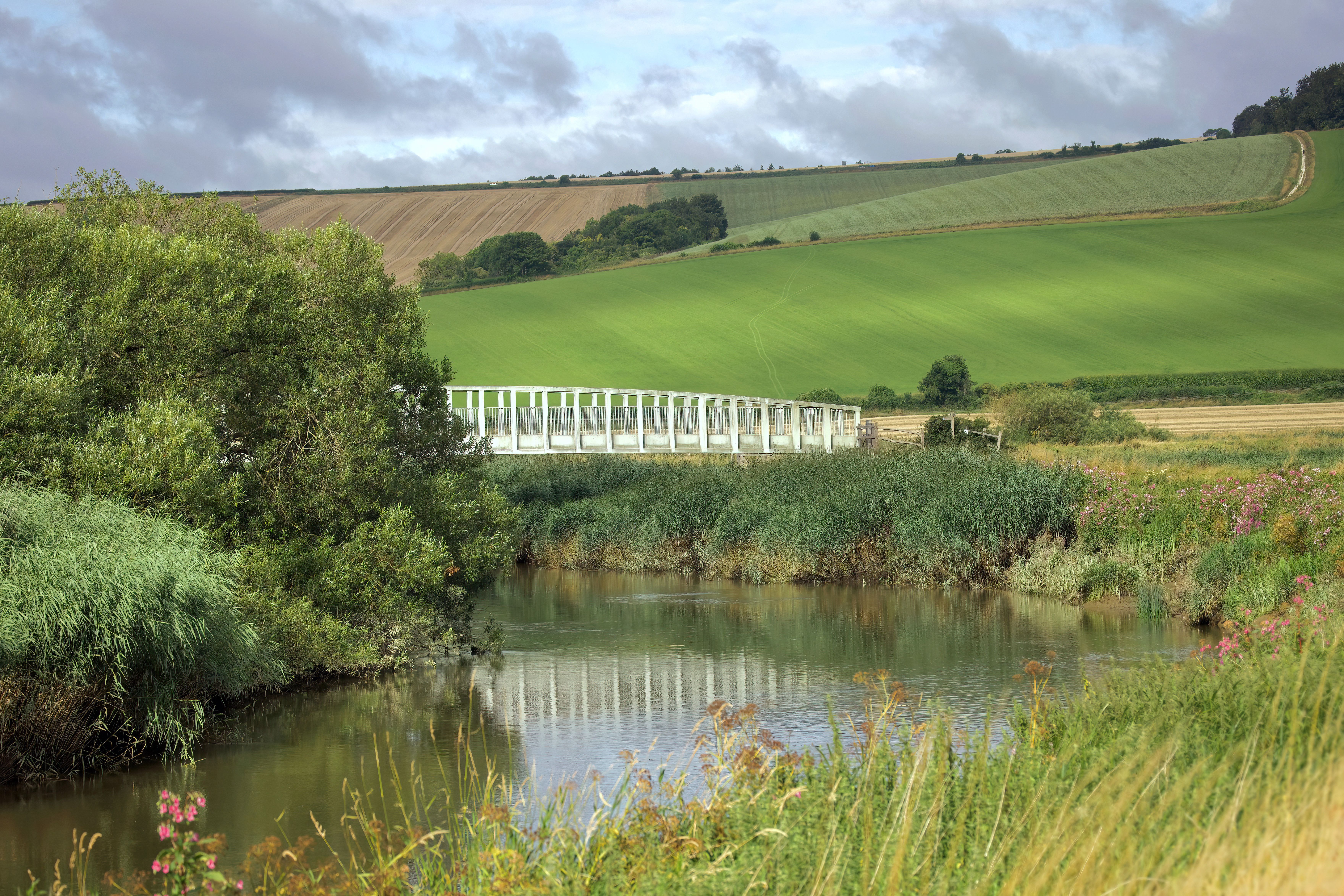 White footbridge over a reed-lined river below rolling fields — photo by Stephen Noulton on Pexels