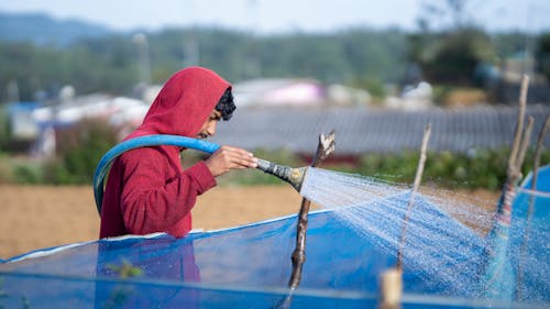 Agricultura | Rega