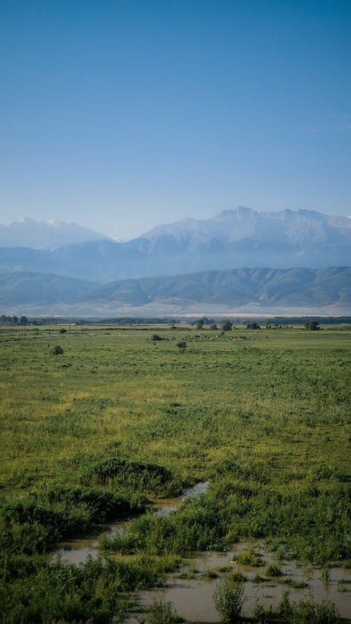 Kostenloses Stock Foto zu außerorts, feld, flachland