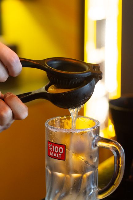 Unveiling the Versatility of the Omega Juicer Masticating Hand Blender