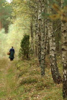 A woman holding a basket walks through a serene birch forest during fall.