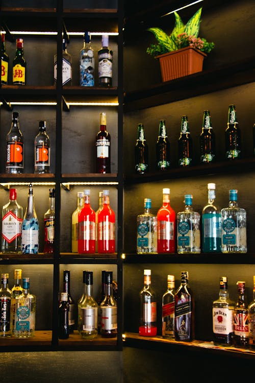 Bottles with Alcohol on Shelves in Bar