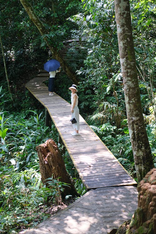 Gratis lagerfoto af jungle, kvinde, lodret skud