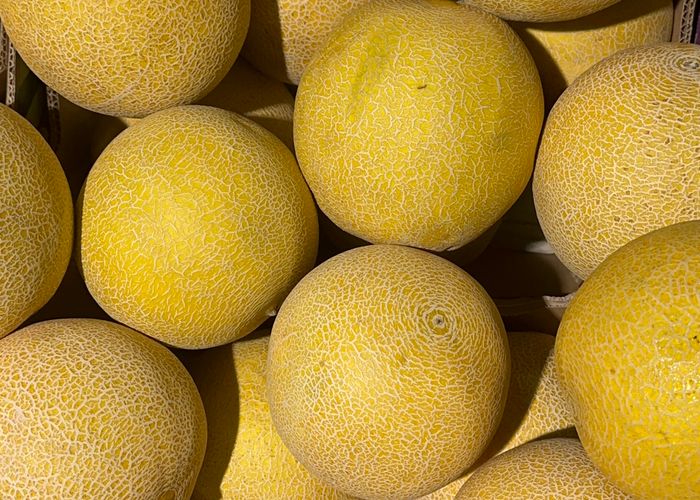 Melon Fruit - Urban Goes Green Plant Guide