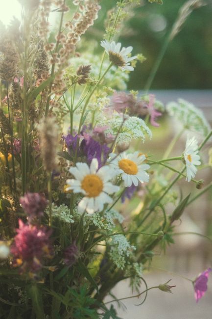 A close-up of a vibrant wildflower bouquet in a sunny outdoor setting.
